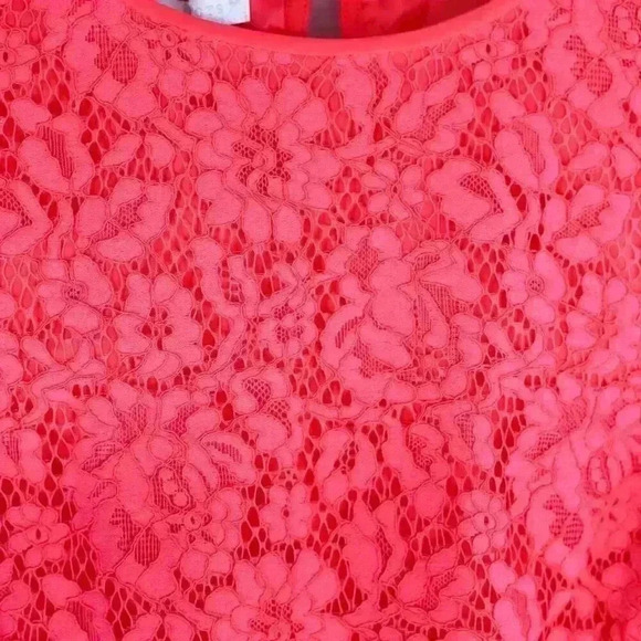 NWT RSVP by Talbots Size 18 pink sleeveless lace ruffle bottom blouse - Picture 6 of 15